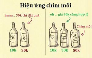 Hiệu ứng chim mồi là một hiện tượng tâm lý trong đó người tiêu dùng bị ảnh hưởng bởi sự xuất hiện của một lựa chọn thứ ba